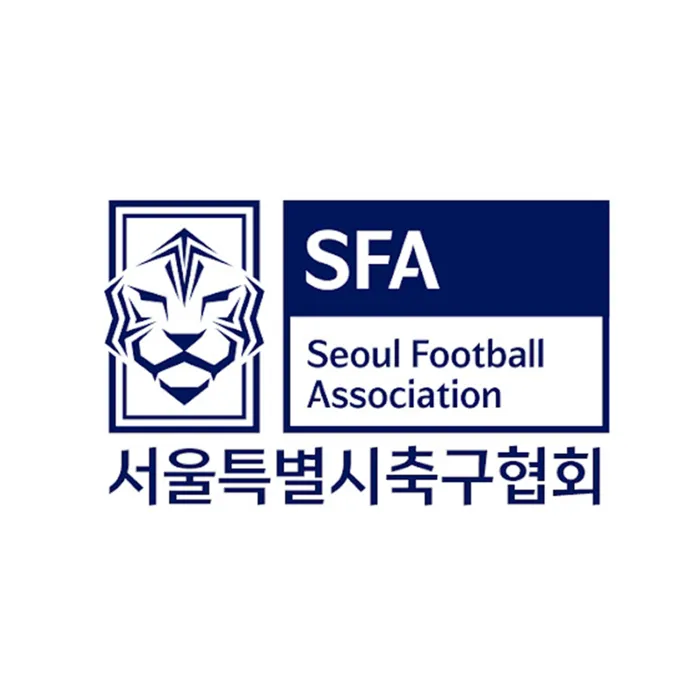 서울특별시축구협회