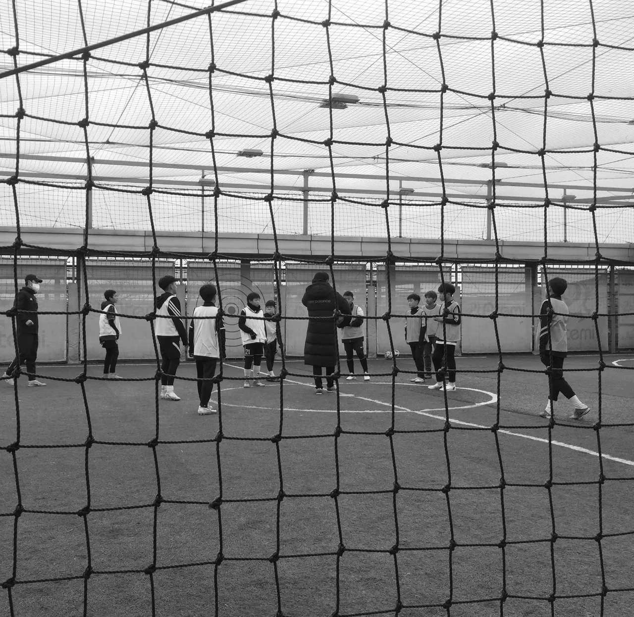 갤로핑 활동 사진 6