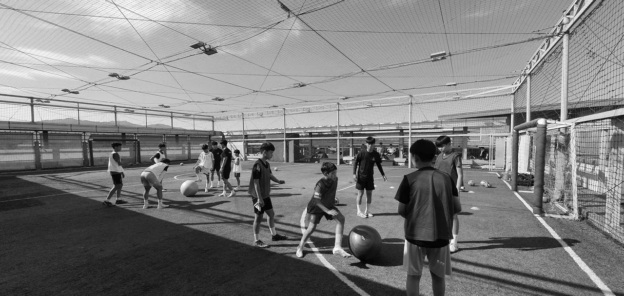 갤로핑 활동 사진 1