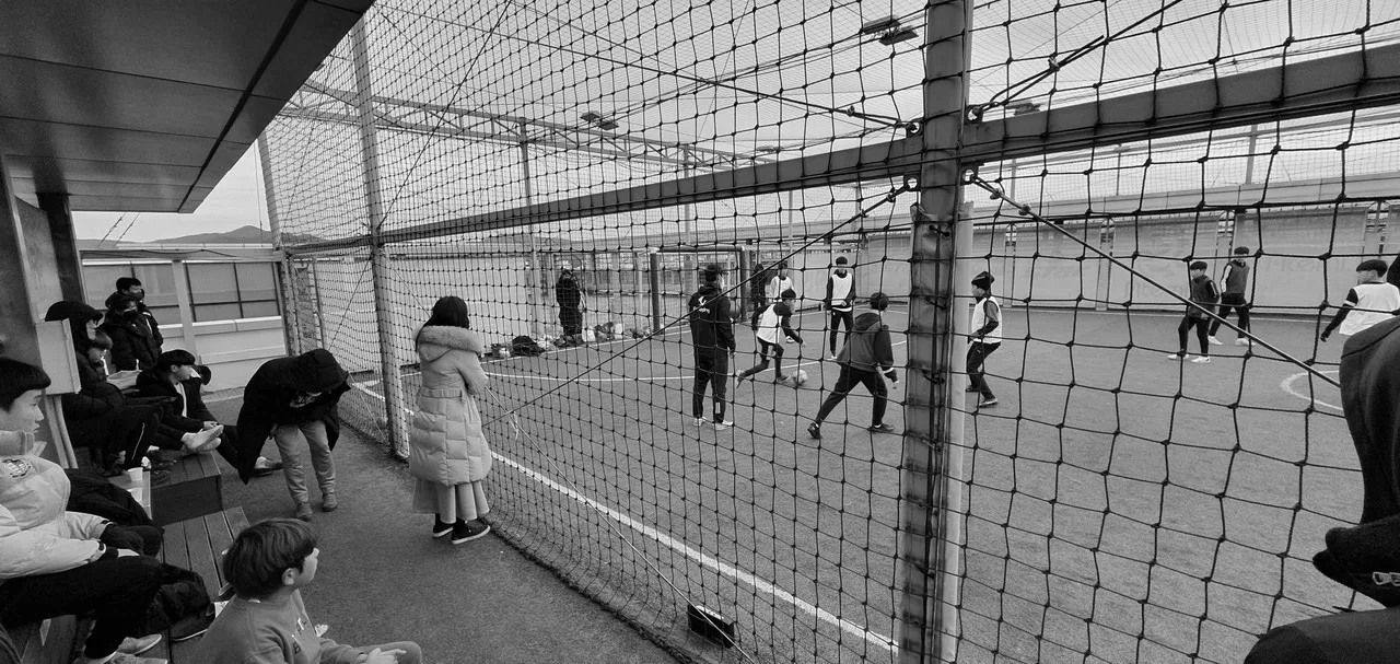 갤로핑 활동 사진 4