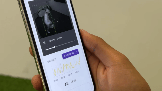 비전 AI 분석 밸런스 측정